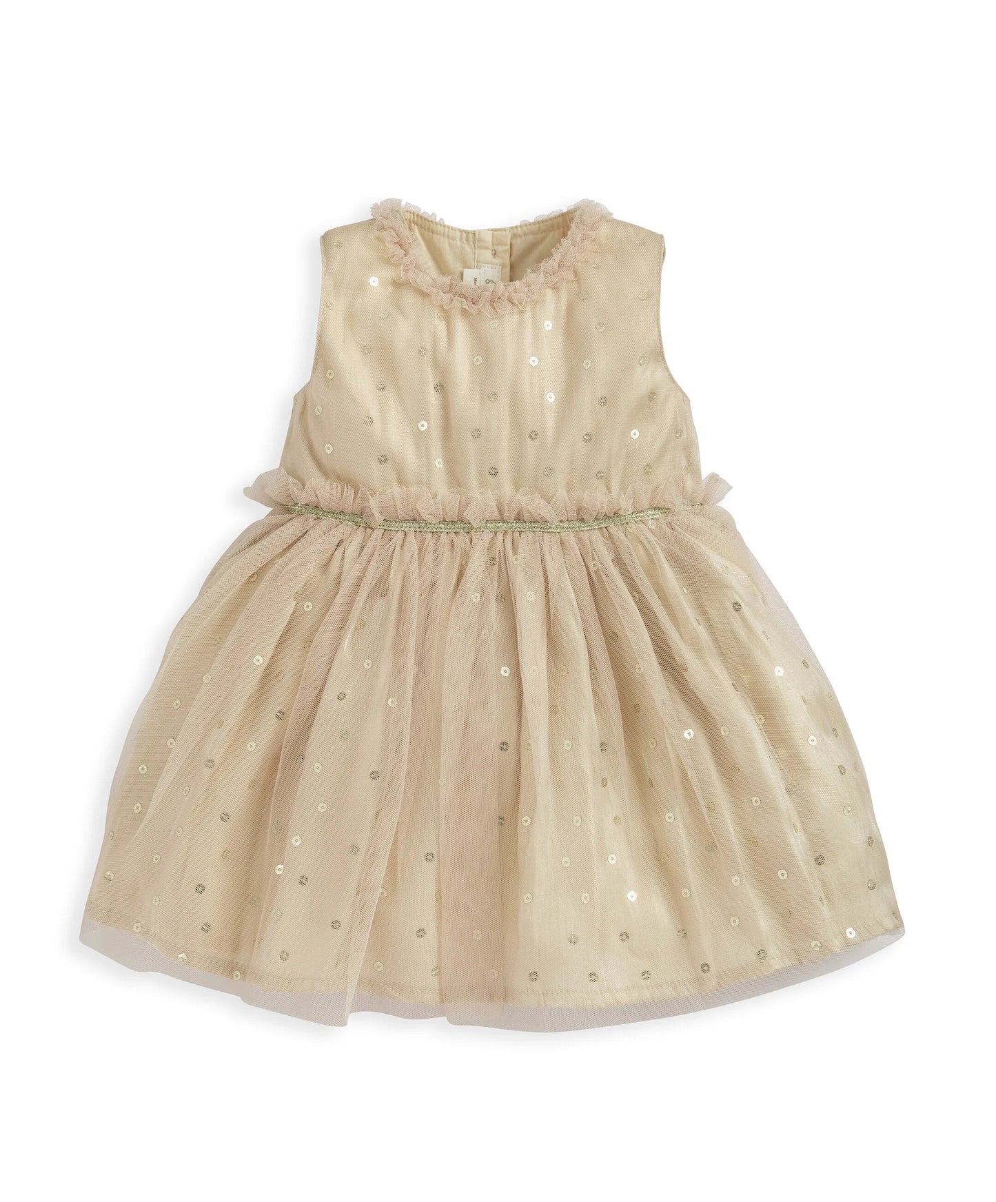 Gold Mesh Dress