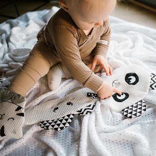 Flat Cuddly Toy Panda | Plush & Soft Toy | Babyono for Mamas & Papas LB - 6hr