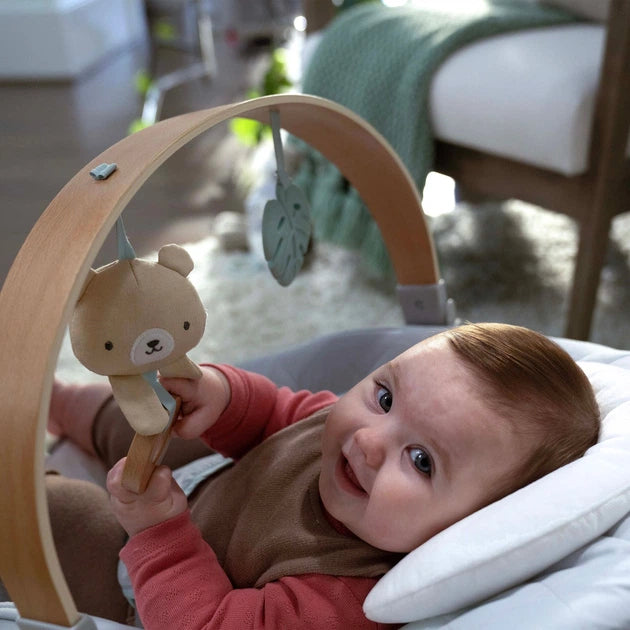 Comfort 2 Go Compact Portable Baby Swing, Fanciful Forest