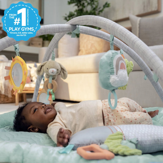 Calm Springs Plush Activity Baby Gym