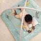 Calm Springs Plush Activity Baby Gym