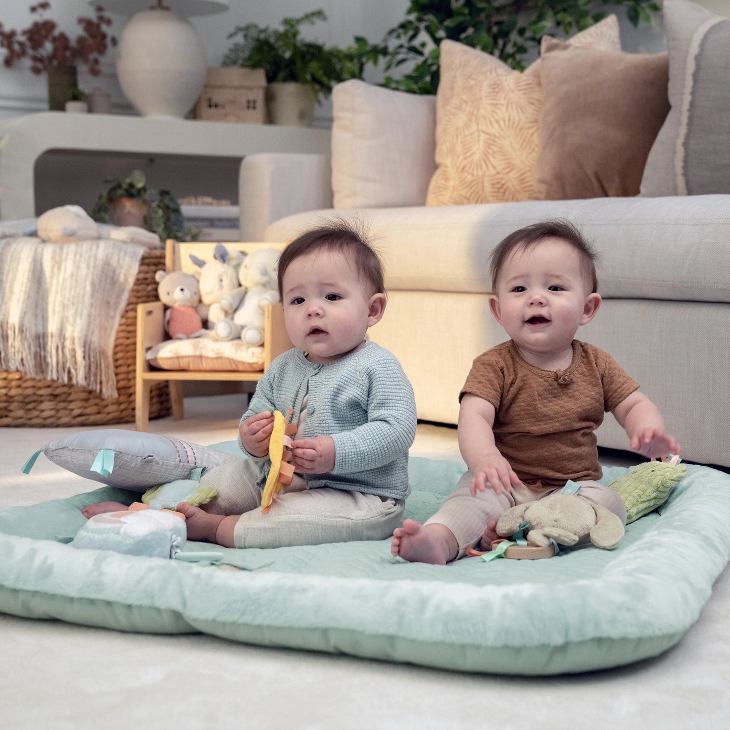 Calm Springs Plush Activity Baby Gym