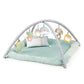 Ingenuity Calm Springs Plush Activity Baby Gym Play Gym