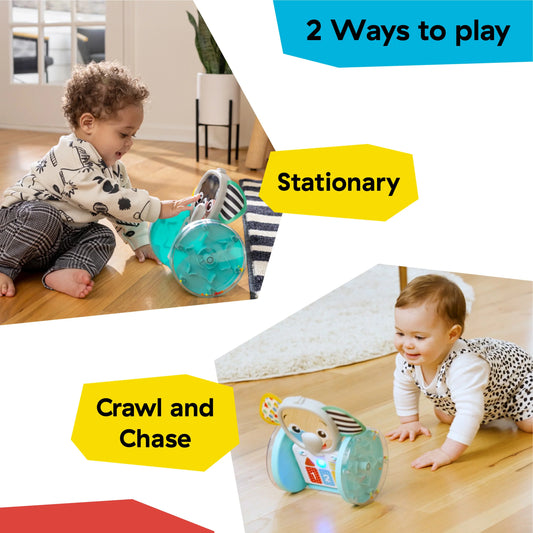 Chase & Tap Earl Crawling Baby Toy