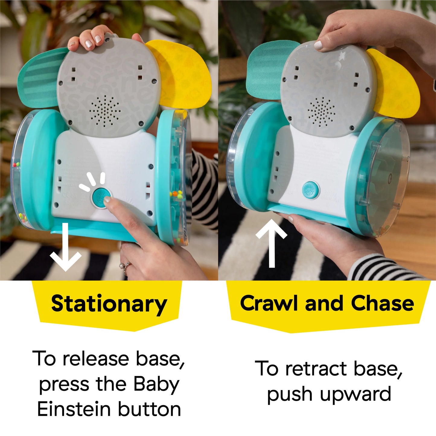 Chase & Tap Earl Crawling Baby Toy