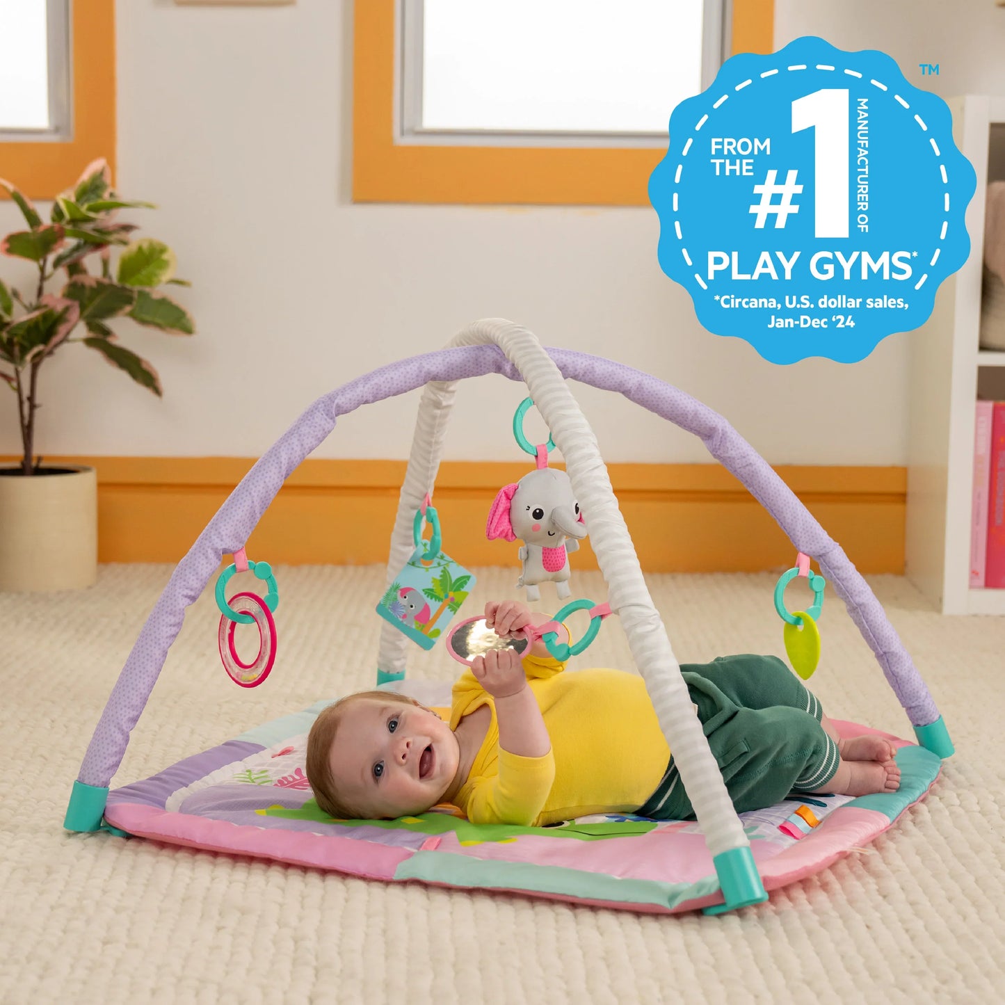 Wild Wiggles Sweet Safari FoldAway Activity Gym