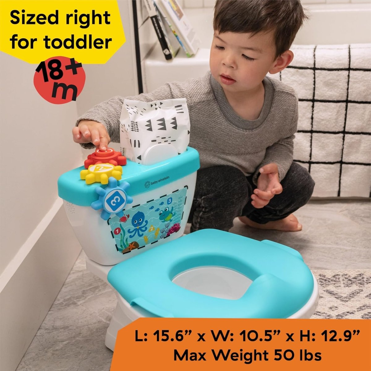 2 - in - 1 Potty Training System | Potty Training | Baby Einstein for Mamas & Papas LB - Baby Changing & Hygiene