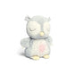 Light & Sounds Sensory Toy Owlbie