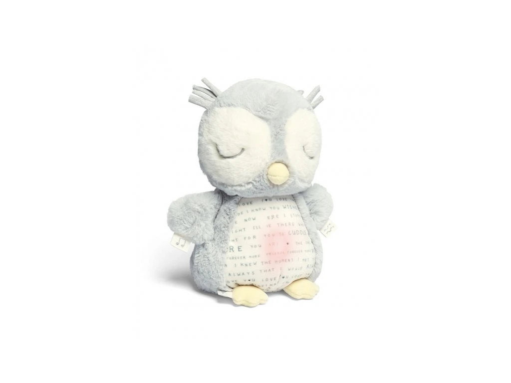 Light & Sounds Sensory Toy Owlbie