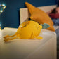 Babymoov Badabulle Projection Night Light Basil | Mamas & Papas, Babies, Nursing, 
