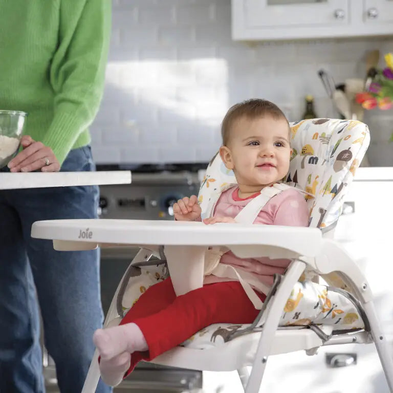 Mimzy™ Snacker Highchair