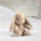 Peluche bonnet lapin Snuggle Buddies - Le partenaire de câlins idéal dès le premier jour !