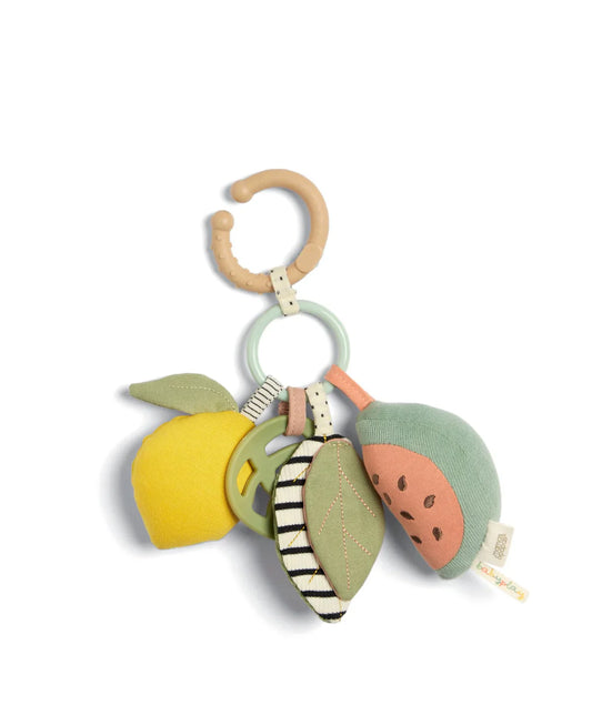 Activity Linkie Toy - Fruit