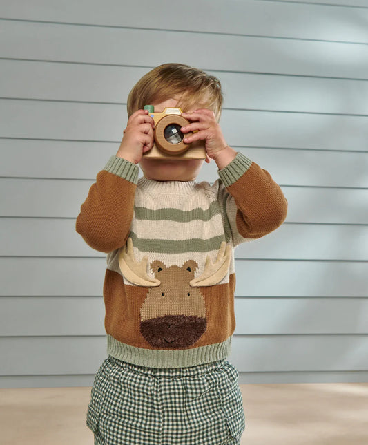 Moose Character Knit Jumper with 3D Antlers - Brown