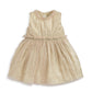 Gold Mesh Dress
