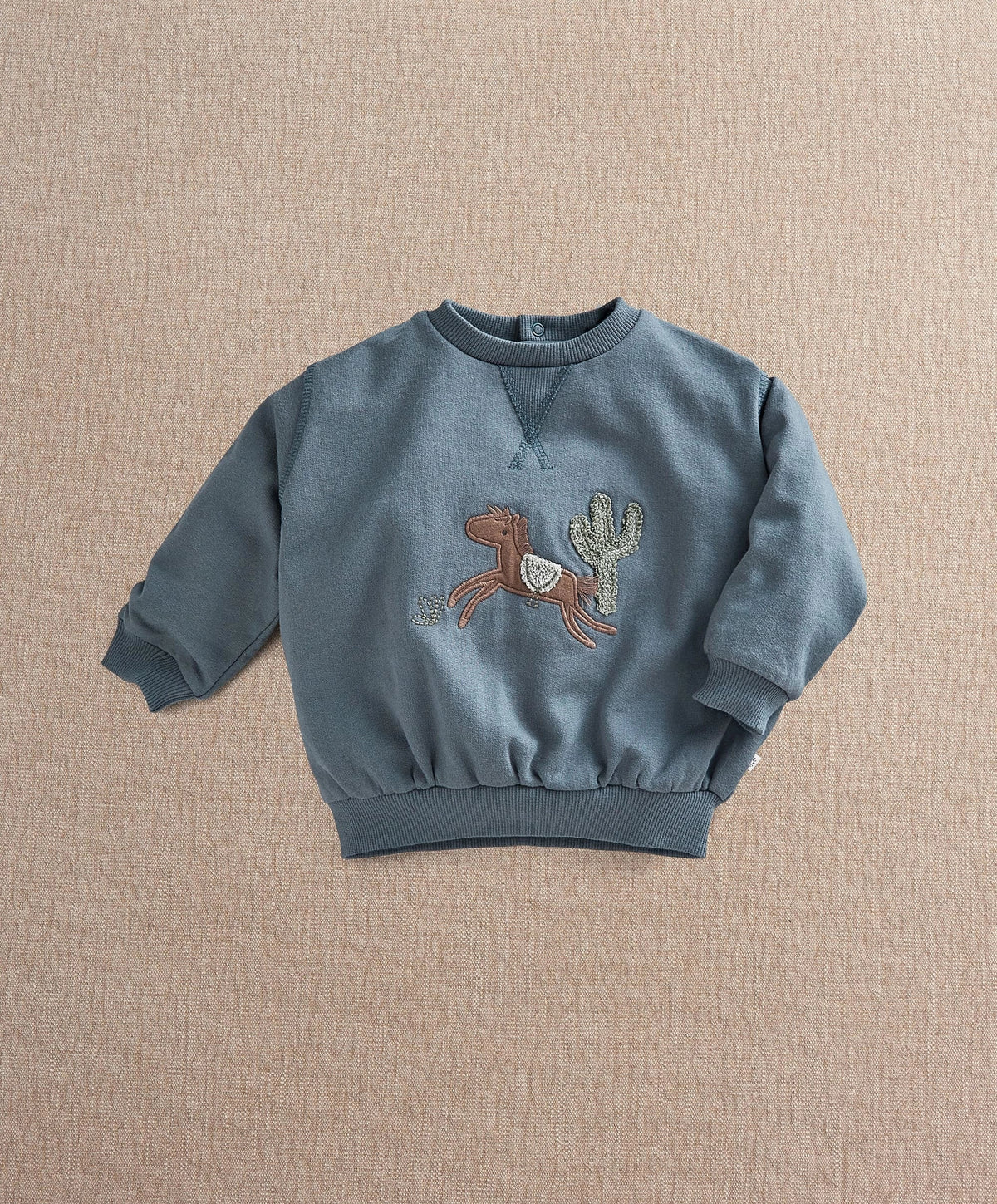 Blue pony sweatshirt with long sleeves and stitched pony graphic