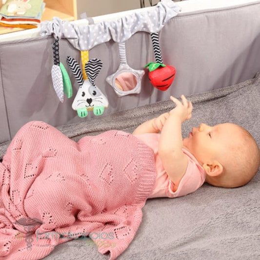 Babyono Hanging Activity Toy for Stroller | Mamas & Papas, Babies, Nursing, Activity Toy