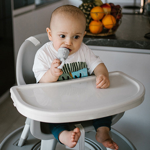 Babyono Twist - Out Baby Feeder Dino Dinosaur | Mamas & Papas, Babies, Nursing, Feeder