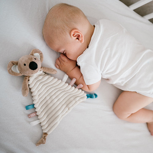 Peluche plate Koala Charlie 