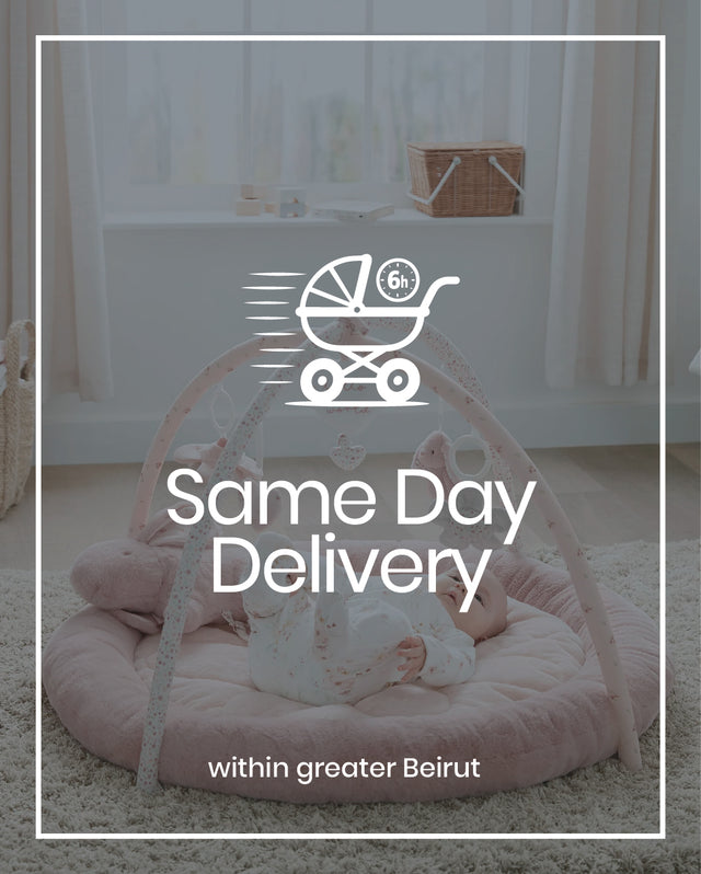 Same Day Delivery