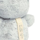 Light & Sounds Sensory Toy Owlbie