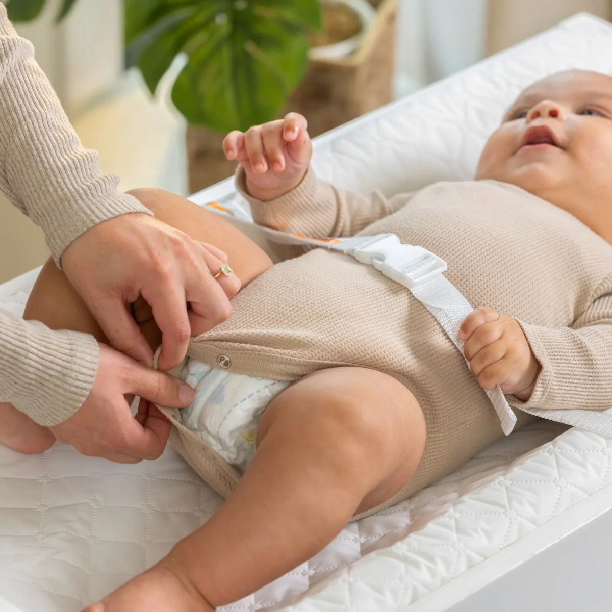 Contoured Changing Pad 0 - 24m | Changing Pad | Ingenuity for Mamas & Papas LB - 6hr