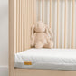 Cotbed Mattress | Shelf | Mamas & Papas for Mamas & Papas LB - Furniture & Nursery