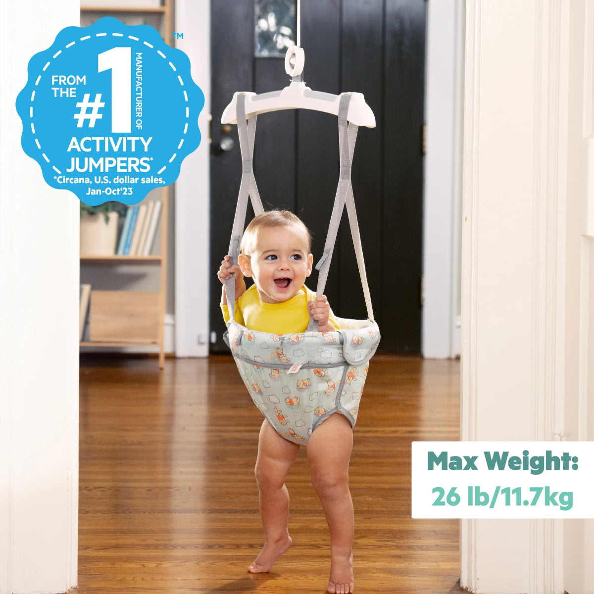 Disney Baby Winnie the Pooh Once Upon a Bounce Activity Jumper | Bouncer | Bright Starts for Mamas & Papas LB - Christmas