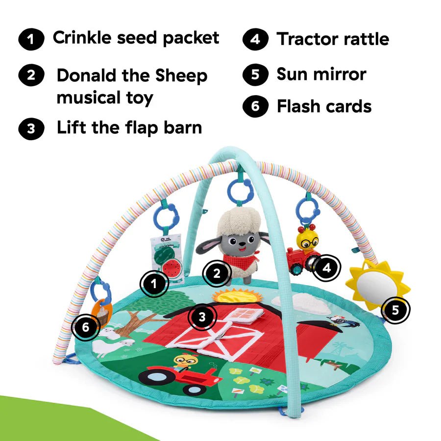 Farm Explorers Happy Harvest Touch & Feel Activity Gym | Gym | Baby Einstein for Mamas & Papas LB - Activity & Sensory Toys
