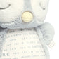 Light & Sounds Sensory Toy Owlbie