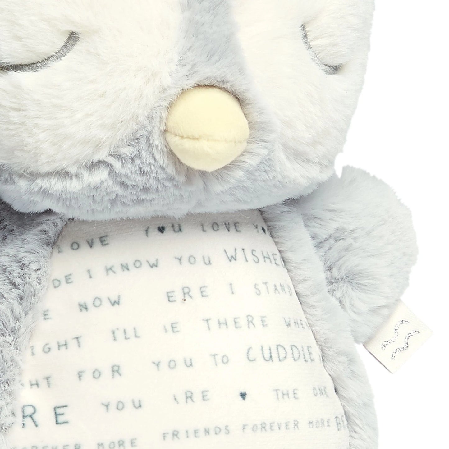 Light & Sounds Sensory Toy Owlbie