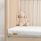 Mamas & Papas Cotbed Mattress | Mamas & Papas, Babies, Nursing, Fiber