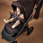 Ocarro 2 Pushchair