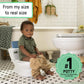 My Size Potty Pro | Potty Training | Ingenuity for Mamas & Papas LB - Baby Changing & Hygiene