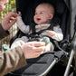 Ocarro 2 Pushchair | Stroller | Mamas & Papas for Mamas & Papas LB - Baby Gear