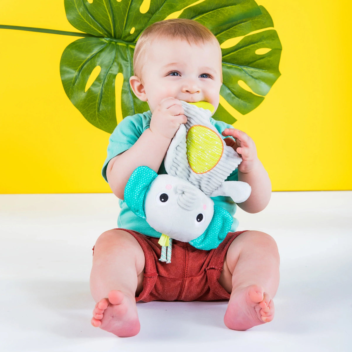 Snuggle & Teethe Plush Teether Toy, Assortment | Teether Plush | Bright Starts for Mamas & Papas LB - 6hr