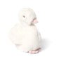 Welcome To The World Soft Toy - Swan | Soft Toy | Mamas & Papas for Mamas & Papas LB - 6hr