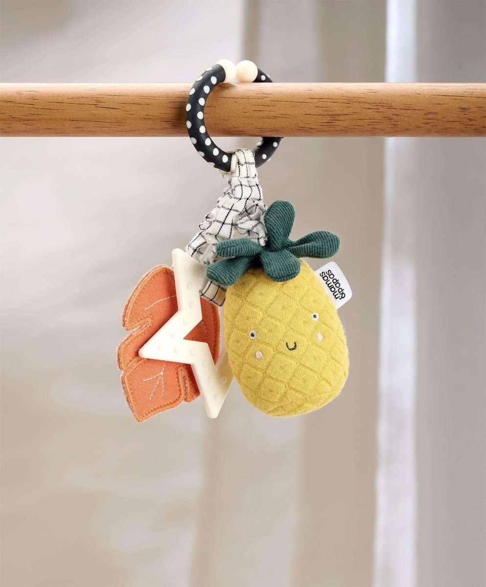 Wildly Adventures Educational Teething Toy - Linkie Pineapple | Teether | Mamas & Papas for Mamas & Papas LB - 6hr
