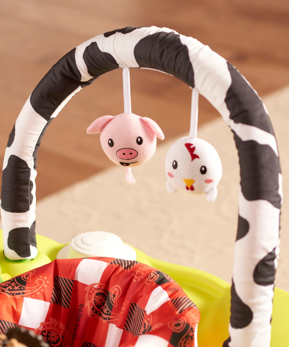 Evenflo Playful Pastures Bouncing Activity Saucer | Mamas & Papas, Babies, Nursing, Activity Toy